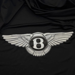 логотип bentley на чехле логотип bentley на чехле